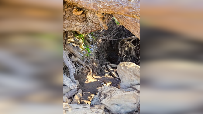 If you look closely, you can see the memorial along the wall of the "tree cave" here. 
